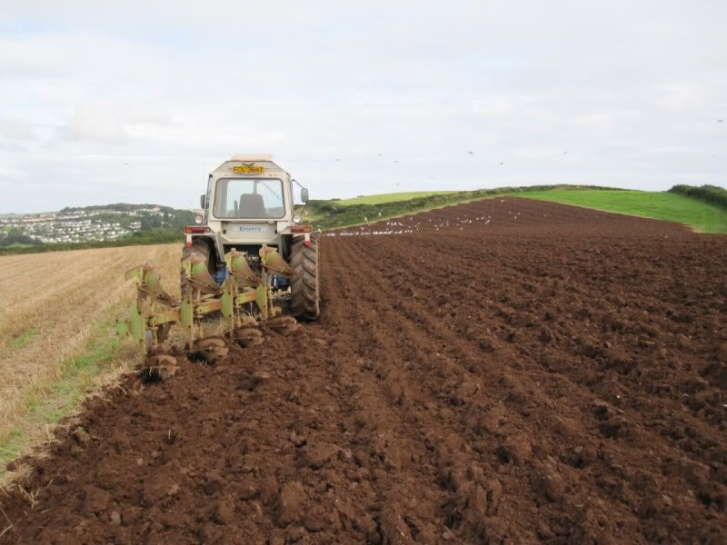 ploughingfriday.jpg