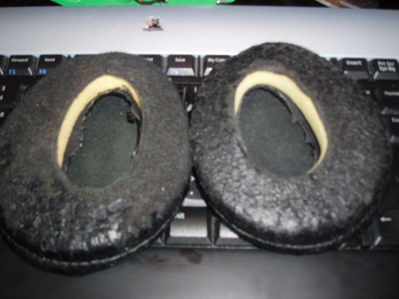 PC260039.jpg