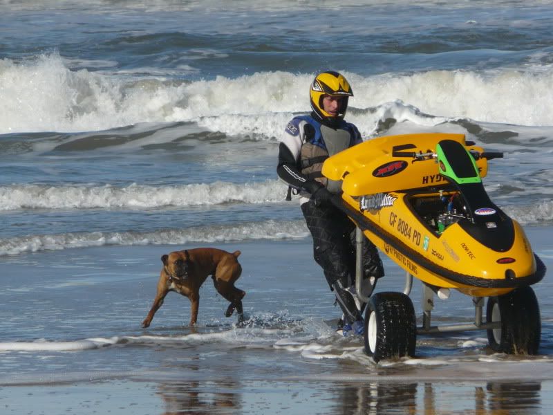 2010_0314pismo3-130053.jpg