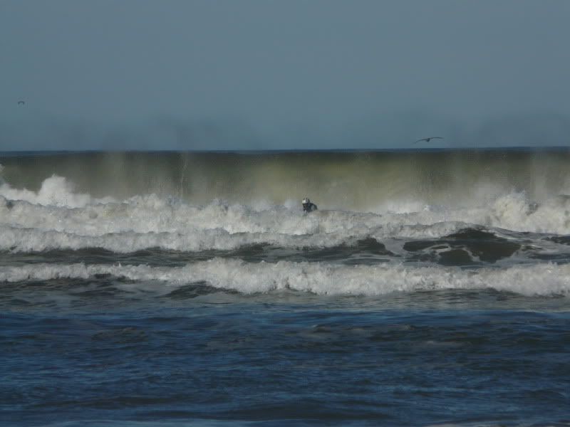 2010_0314pismo3-130064.jpg