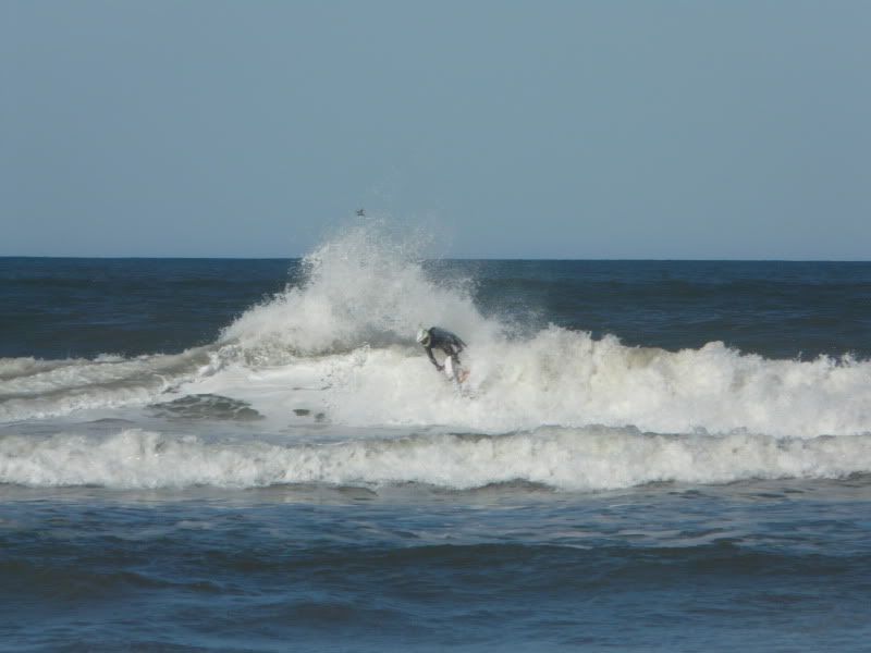 2010_0314pismo3-130088.jpg