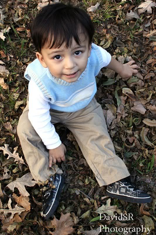 IMAGE: http://i16.photobucket.com/albums/b11/98IntegraLS/Aidan005-002_1.jpg