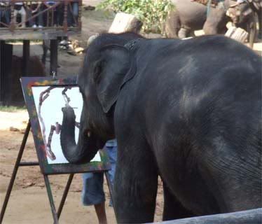 รูปภาพ