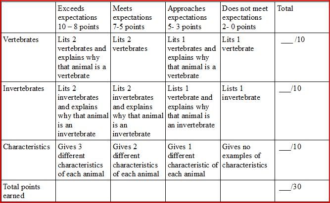 Bones? or No Bones? That is the Question!: What are the different