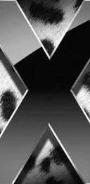 Mac OS X Leopard