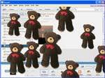 Go Bear-crazy with Picasa Go Bear-crazy with Picasa