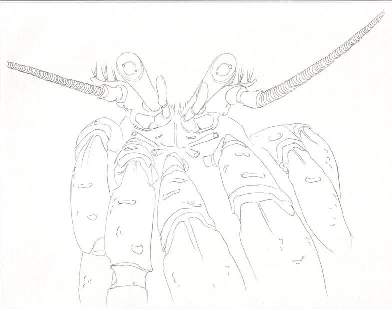 RottenDegenerate's internal organs RottenDegenerate's internal organs