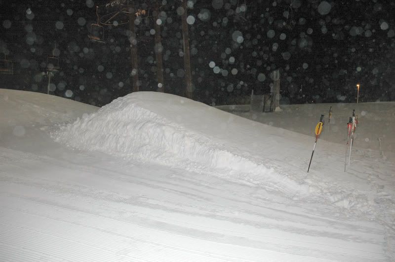 1-24-08003.jpg