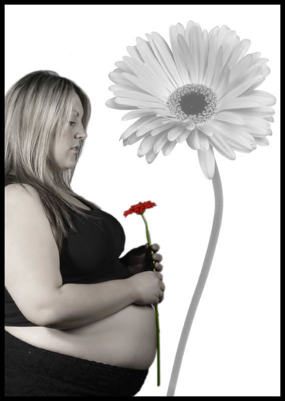 IMAGE: http://i16.photobucket.com/albums/b13/sarahemjones/canon4.jpg