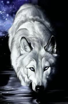 whitewolf2.jpg