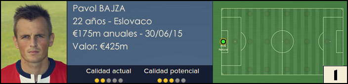 fichabajza14.png