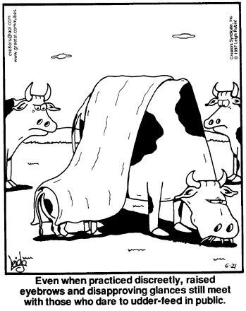 Cow Humor