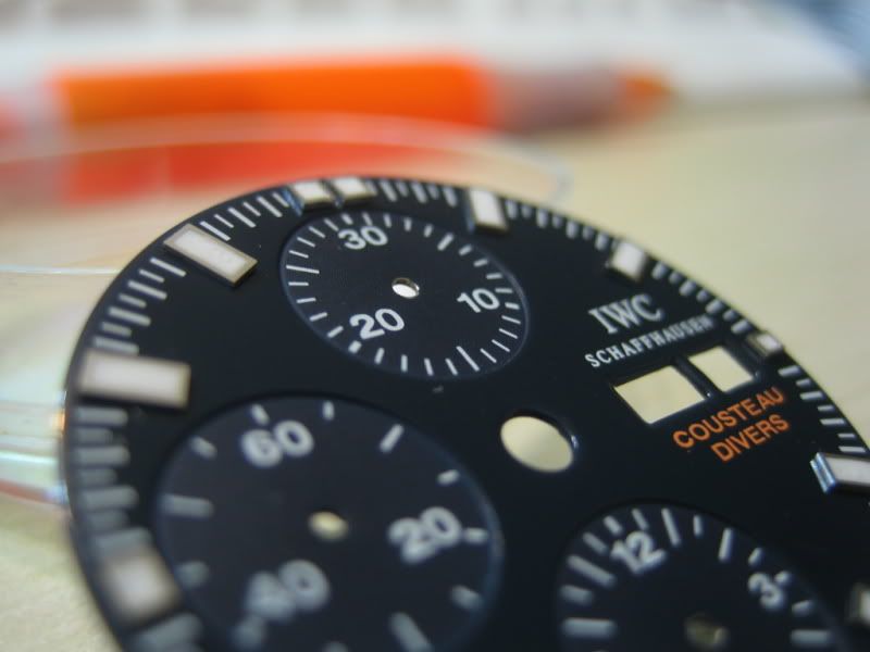 IWC-ACCD-10.jpg