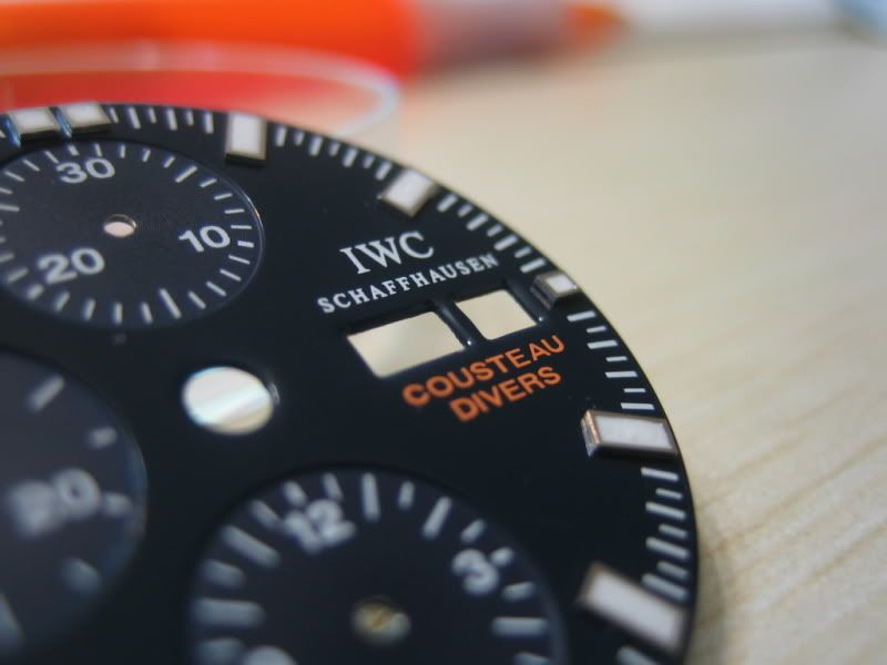 IWC-ACCD-11.jpg