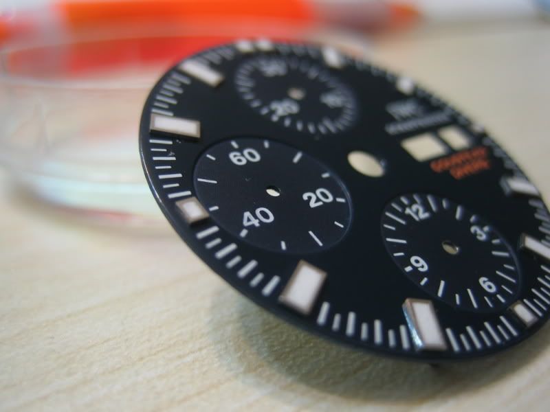 IWC-ACCD-9.jpg