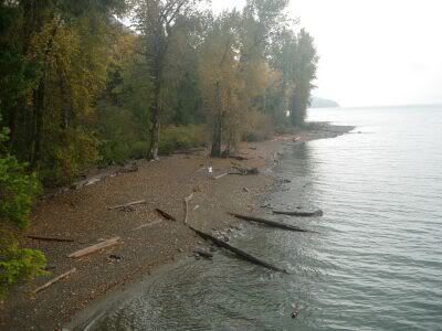 View of Camp and Daniel from the Bluff