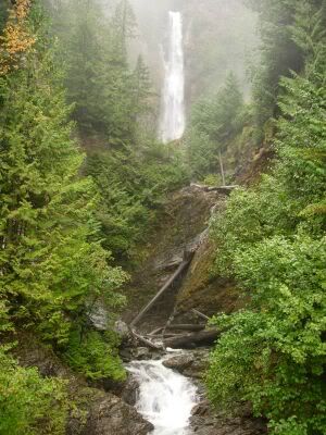 Waterfall from the logging road