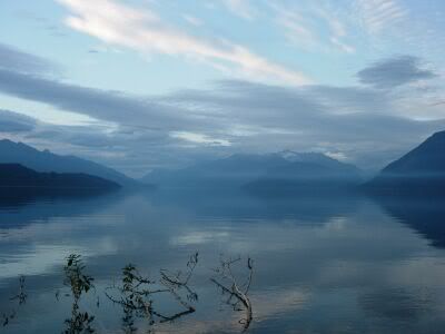 Looking north on Harrison Lake