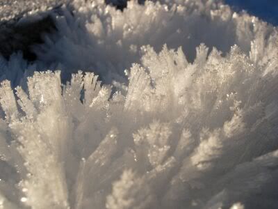 Frost growing from the deck of the floating bridge