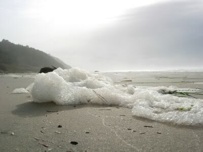 Foam created by the storms