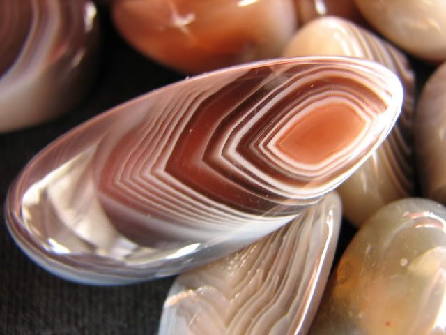 My Archaeological Find: Calling all rock geeks! - Homesteading Questions