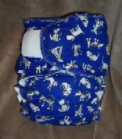 Cats & Dogs Day - Sz Large, Aplix
