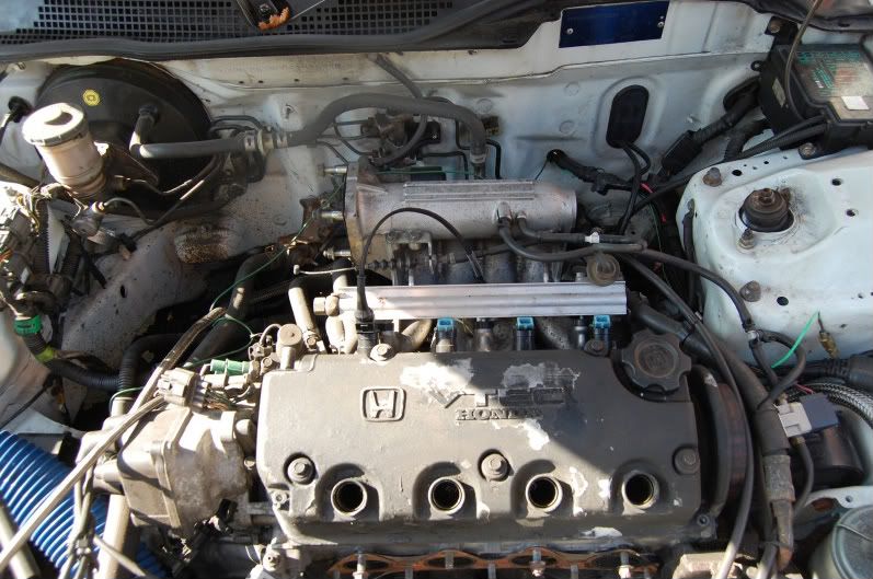 D16Z6 from the UK, 2009/2010 build