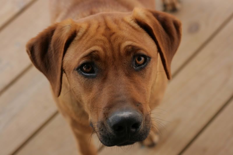 IMAGE: http://i16.photobucket.com/albums/b17/OrangeMach/038-1.jpg