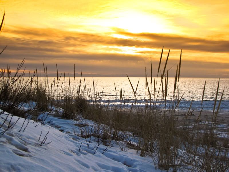 IMAGE: http://i16.photobucket.com/albums/b17/Stekman/Glowing.jpg