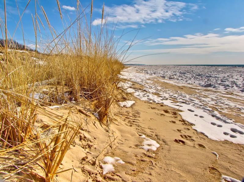 IMAGE: http://i16.photobucket.com/albums/b17/Stekman/GoldenGrass.jpg