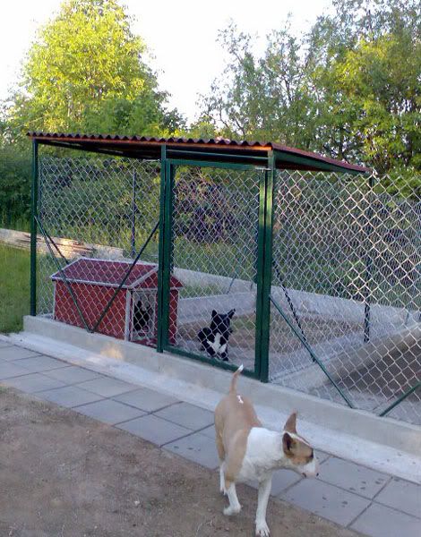 kennel012.jpg