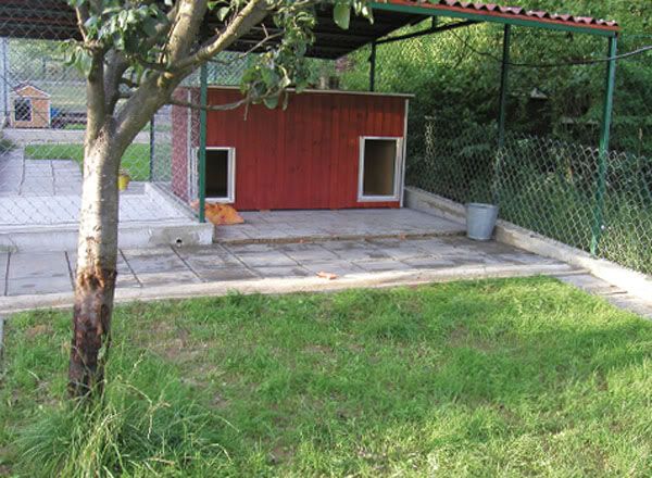 kennel017.jpg