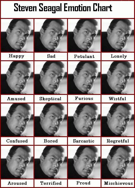 Steven_Seagal_Emotion_Chart.jpg