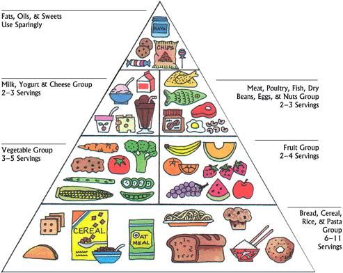 food pyramind