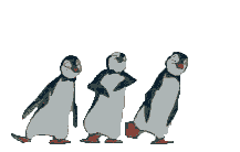 bird_penguin_2.gif