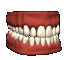 Teeth-02-june.gif