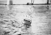 water polo ball Pictures, Images and Photos
