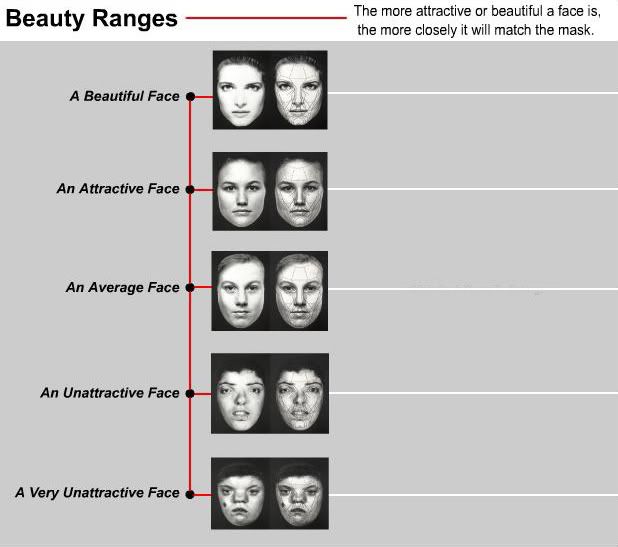 Marquardt Beauty Analysis. (It should be noted that all