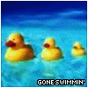 Gone Swimming Pictures, Images and Photos