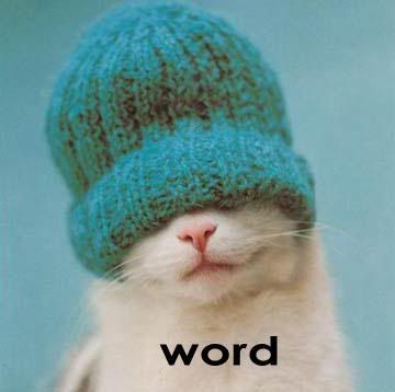 200812120015189_funny_word.jpg