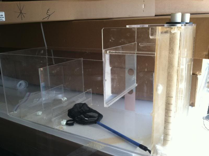 all glass aquarium sump for sale Reef Central Online Community