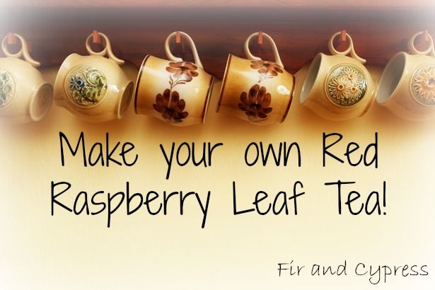 raspberry tea leaf benefits natural  medicinal herbs
