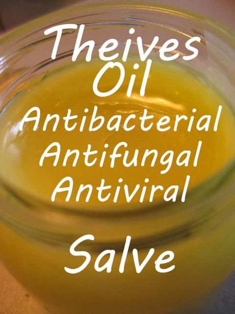 Antibacterial Four Theives Salve