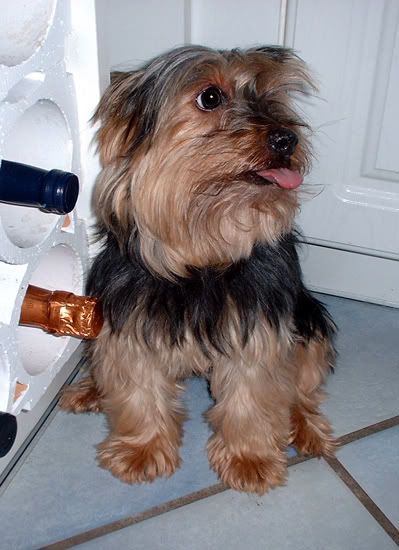 Bild; Quelle: http://i16.photobucket.com/albums/b22/d502/etc/stormy.jpg?t=1206975139 Bild; Quelle: http://i16.photobucket.com/albums/b22/d502/etc/stormy.jpg?t=1206975139