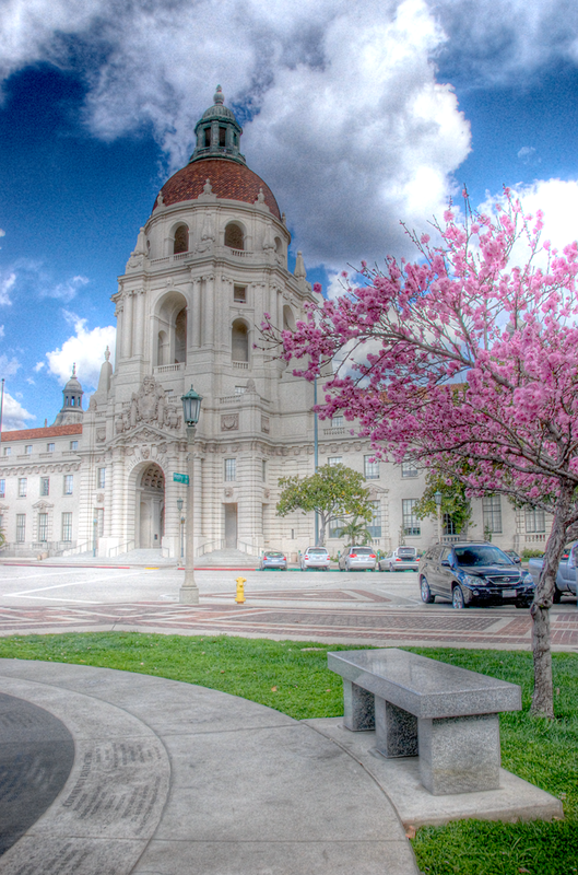 cityhall_blossom2_tonemappedcopy.png