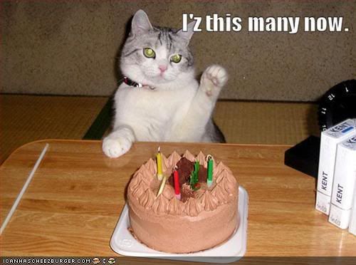 happy birthday cat funny. irthday cat