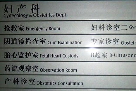Chinglish