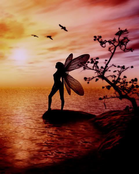 faerie at sunset Pictures, Images and Photos