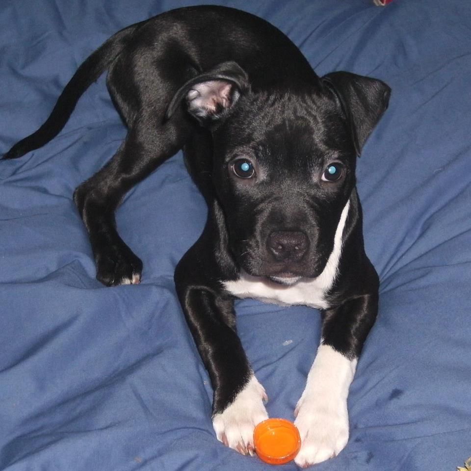 18199_4491980892172_1441936082_n_zpse761