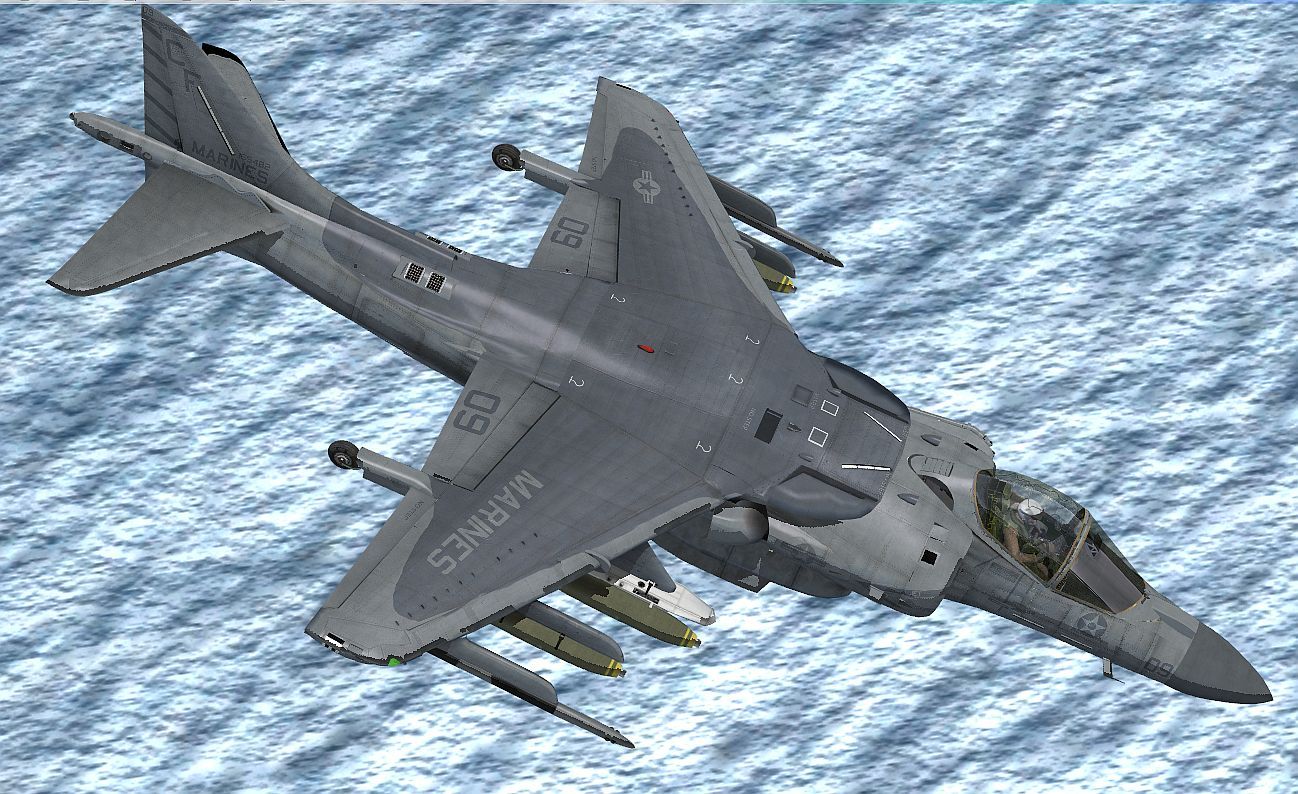 Harrier_054.jpg